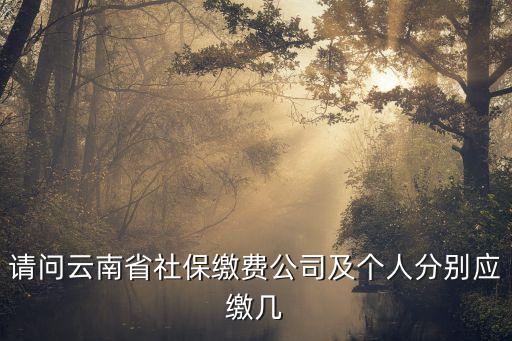 請問云南省社保繳費公司及個人分別應繳幾