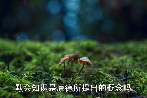 默會知識是康德所提出的概念嗎