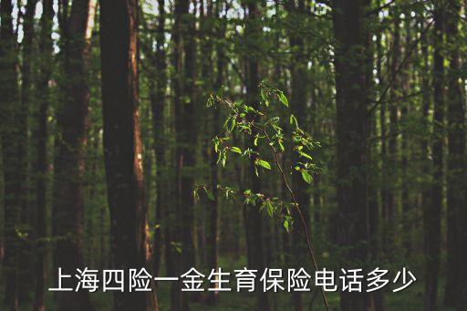 上海社保局電話，上海四險一金生育保險電話多少