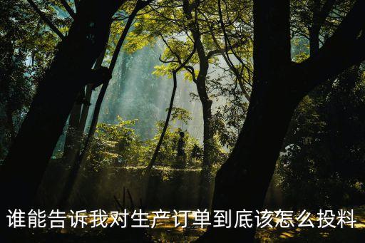 誰能告訴我對生產(chǎn)訂單到底該怎么投料