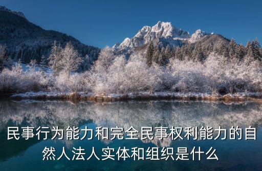 民事行為能力和完全民事權(quán)利能力的自然人法人實(shí)體和組織是什么