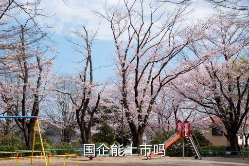 國企能上市嗎