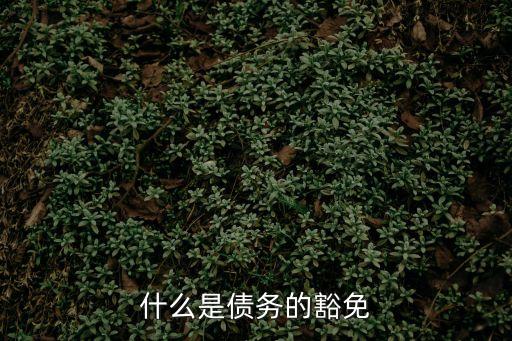 什么是債務(wù)的豁免