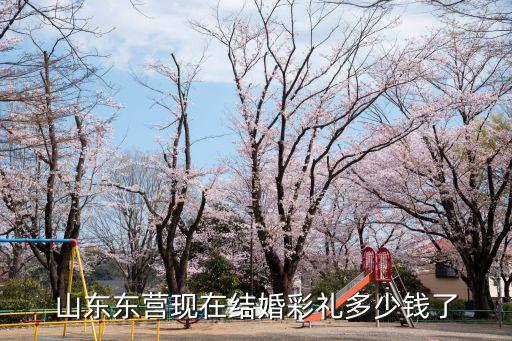 山東東營現(xiàn)在結(jié)婚彩禮多少錢了