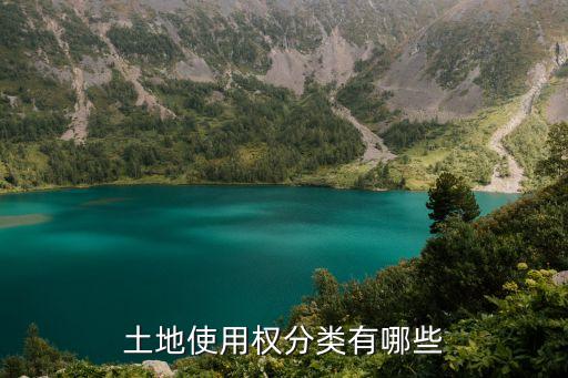 土地使用權分類有哪些