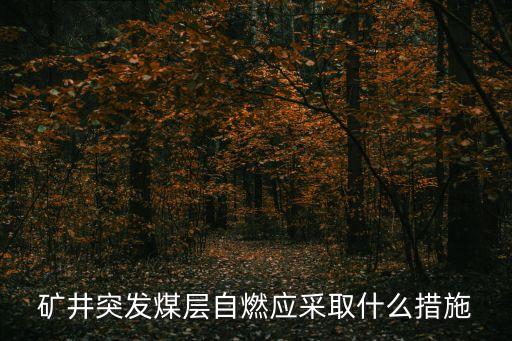 煤層自燃，煤層自燃溫是多少