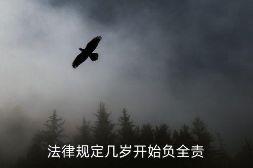 民事責(zé)任年齡，多大歲數(shù)有民事權(quán)力和責(zé)任