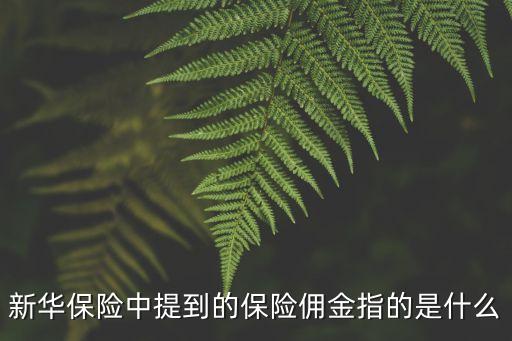 保險(xiǎn)傭金，我有點(diǎn)不明白保險(xiǎn)行業(yè)傭金是什么