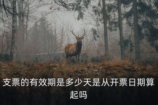 支票有效期，支票的有效期是多少天是從開(kāi)票日期算起嗎