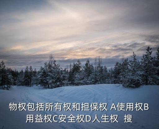 物權(quán)包括哪些權(quán)利，物權(quán)發(fā)主要包括我國公民的哪項經(jīng)濟權(quán)力