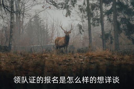 領(lǐng)隊(duì)證，怎樣拿到領(lǐng)隊(duì)證領(lǐng)隊(duì)證領(lǐng)隊(duì)證啊啊啊