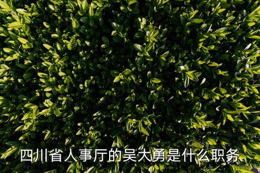 四川省人事廳的吳大勇是什么職務(wù)