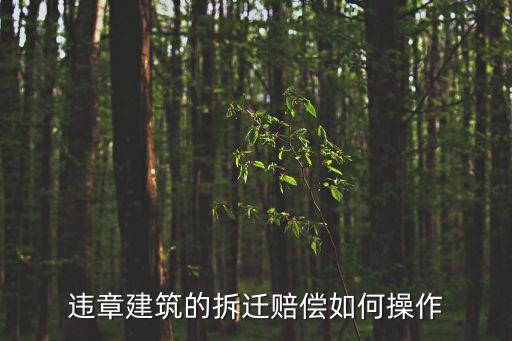 違章建筑拆遷，違章建筑拆遷有補(bǔ)償嗎