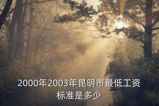 2000年2003年昆明市最低工資標(biāo)準(zhǔn)是多少