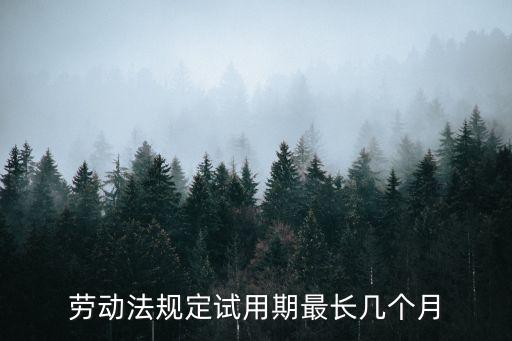 勞動法規(guī)定試用期最長幾個月