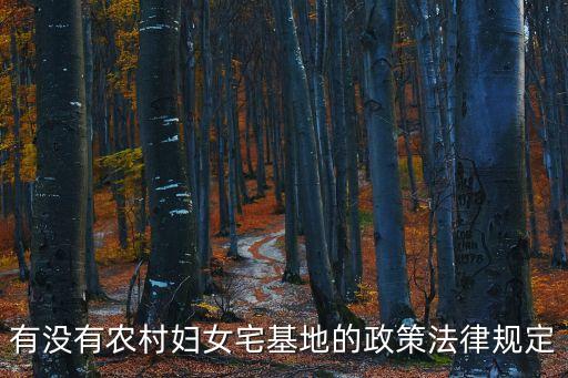 有沒(méi)有農(nóng)村婦女宅基地的政策法律規(guī)定