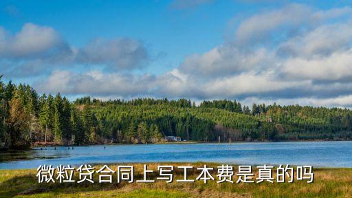 微貸粒，怎麼開通微貸粒