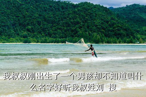 我叔叔剛出生了一個男孩卻不知道叫什么名字好聽我叔姓劉  搜