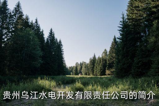 烏江水電，貴州烏江水電的待遇怎么樣啊 謝謝