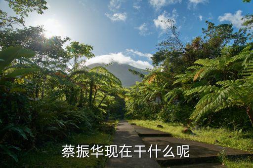 蔡振華，第一屆青奧會中國代表團(tuán)團(tuán)長