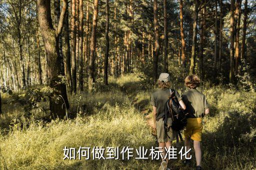 如何做到作業(yè)標(biāo)準(zhǔn)化