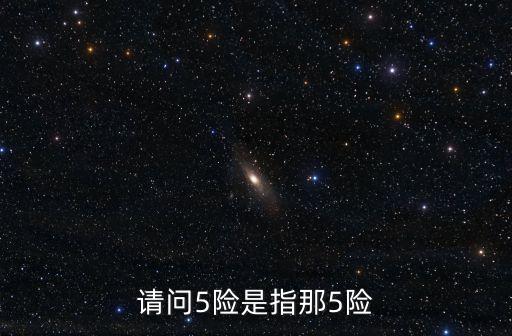 5險，請問5險是指那5險