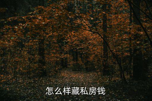 藏私房錢，怎么樣藏私房錢