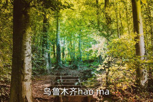烏魯木齊hao ma