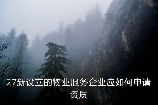 27新設(shè)立的物業(yè)服務(wù)企業(yè)應(yīng)如何申請(qǐng)資質(zhì)