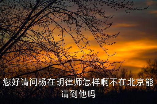 楊在明，您好請問楊在明律師怎樣啊不在北京能請到他嗎