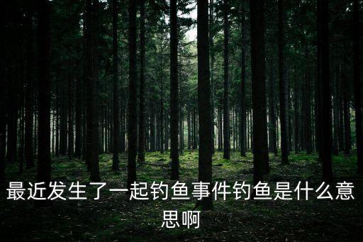 最近發(fā)生了一起釣魚事件釣魚是什么意思啊