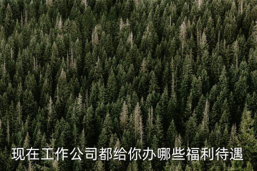 福利待遇，現(xiàn)在工作公司都給你辦哪些福利待遇
