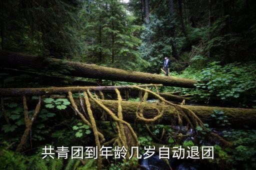 團員幾歲自動退團，共青團到年齡幾歲自動退團