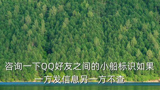 咨詢一下，咨詢一下QQ好友之間的小船標識如果一方發(fā)信息另一方不查
