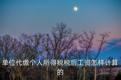 單位代繳個人所得稅稅后工資怎樣計算的