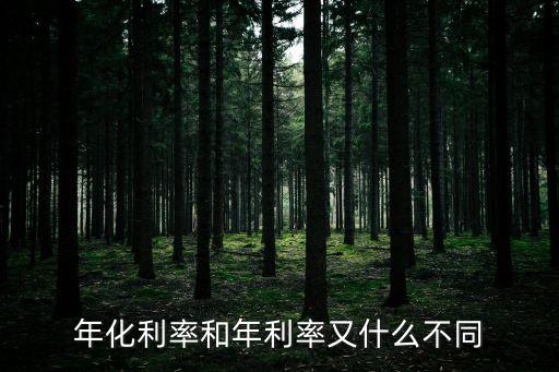 年化利率和年利率又什么不同