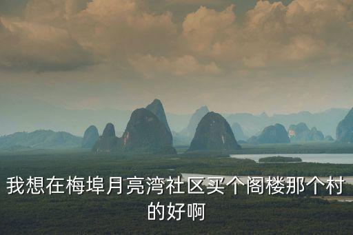 我想在梅埠月亮灣社區(qū)買個(gè)閣樓那個(gè)村的好啊