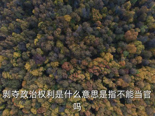 剝奪政治權利是什么意思是指不能當官嗎