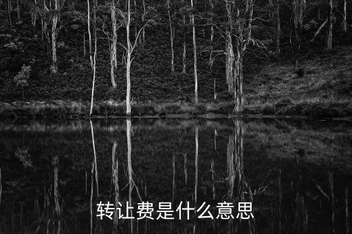 轉(zhuǎn)讓費是什么意思