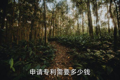 申請(qǐng)專利多少錢，申請(qǐng)一個(gè)專利需要多少錢