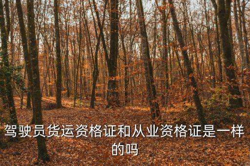 駕駛員貨運(yùn)資格證和從業(yè)資格證是一樣的嗎