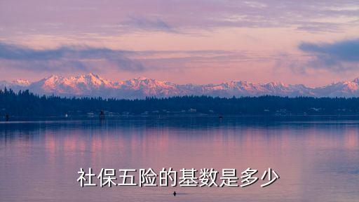 五險(xiǎn)一金基數(shù)，社保五險(xiǎn)的基數(shù)是多少