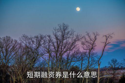 短期融資券是什么意思