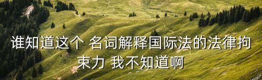 誰知道這個 名詞解釋國際法的法律拘束力 我不知道啊