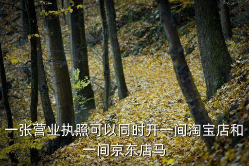 一張營(yíng)業(yè)執(zhí)照可以同時(shí)開一間淘寶店和一間京東店馬