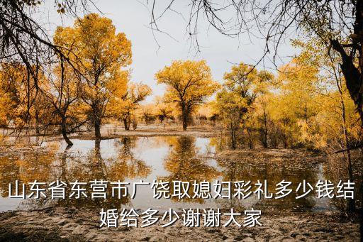 山東省東營市廣饒取媳婦彩禮多少錢結(jié)婚給多少謝謝大家