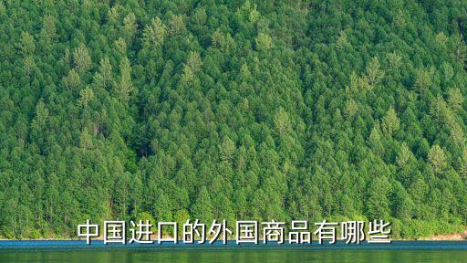 中國進(jìn)口的外國商品有哪些