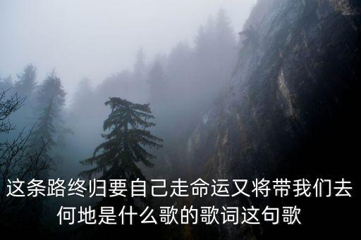 這條路終歸要自己走命運(yùn)又將帶我們?nèi)ズ蔚厥鞘裁锤璧母柙~這句歌