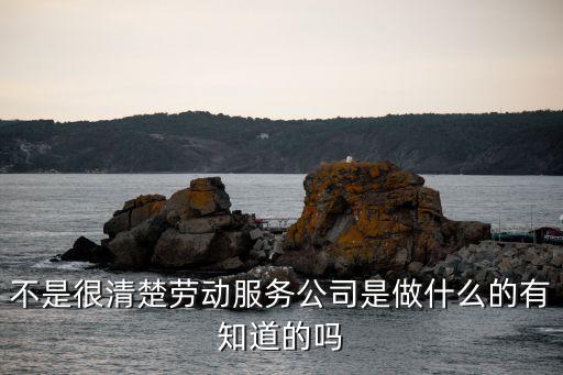 勞務(wù)服務(wù)，勞務(wù)公司和勞務(wù)服務(wù)公司有什么不同