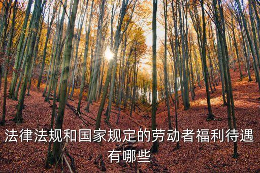 法律法規(guī)和國家規(guī)定的勞動(dòng)者福利待遇有哪些